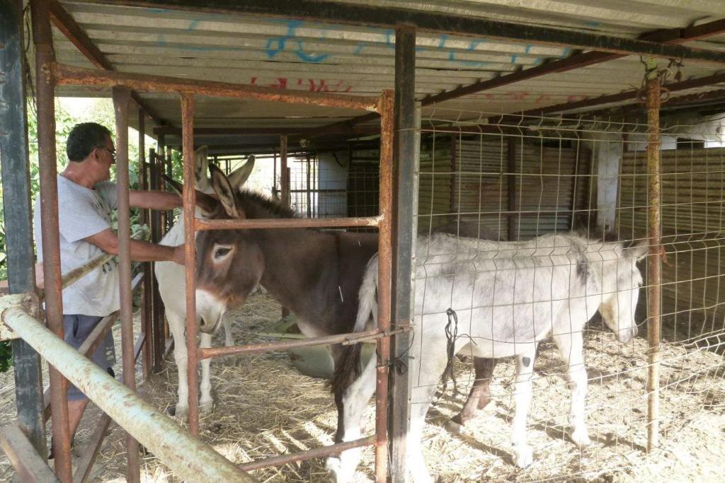 Finca Los Burros Tolatán Exterior foto